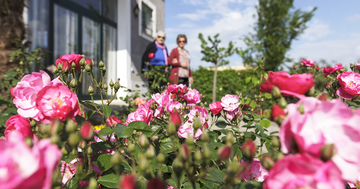 casa di riposo, villa emilia, ceprano, frosinone, redidenza, anziani, assistenza, lazio